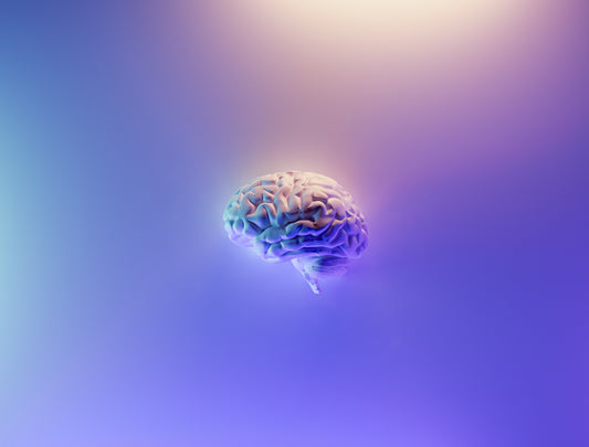 Introducing Nootropics: The Brain-Boosting Supplements You Didn't Know You Needed